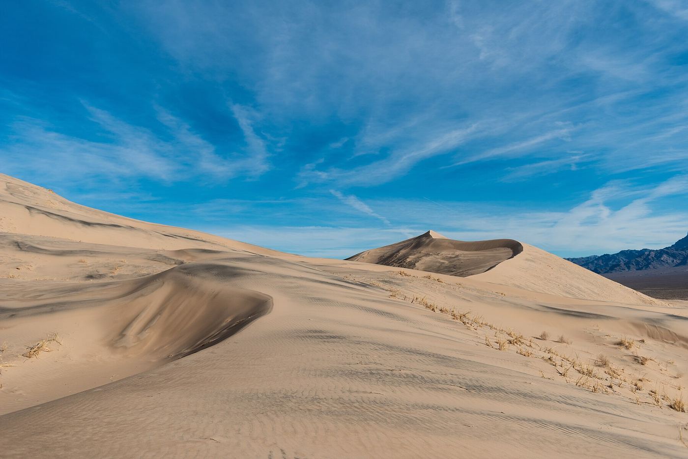 Wind-carved ridges of the Kelso Dunes under a streaked blue sky